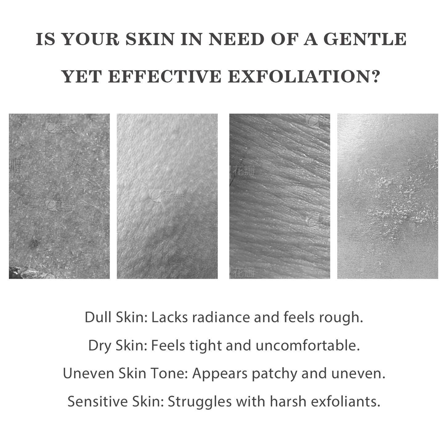Customization Available 200g Gentle Exfoliating Nourishing Deep Cleansing Grass Fed Beef Tallow Manuka Honey Body Scrub