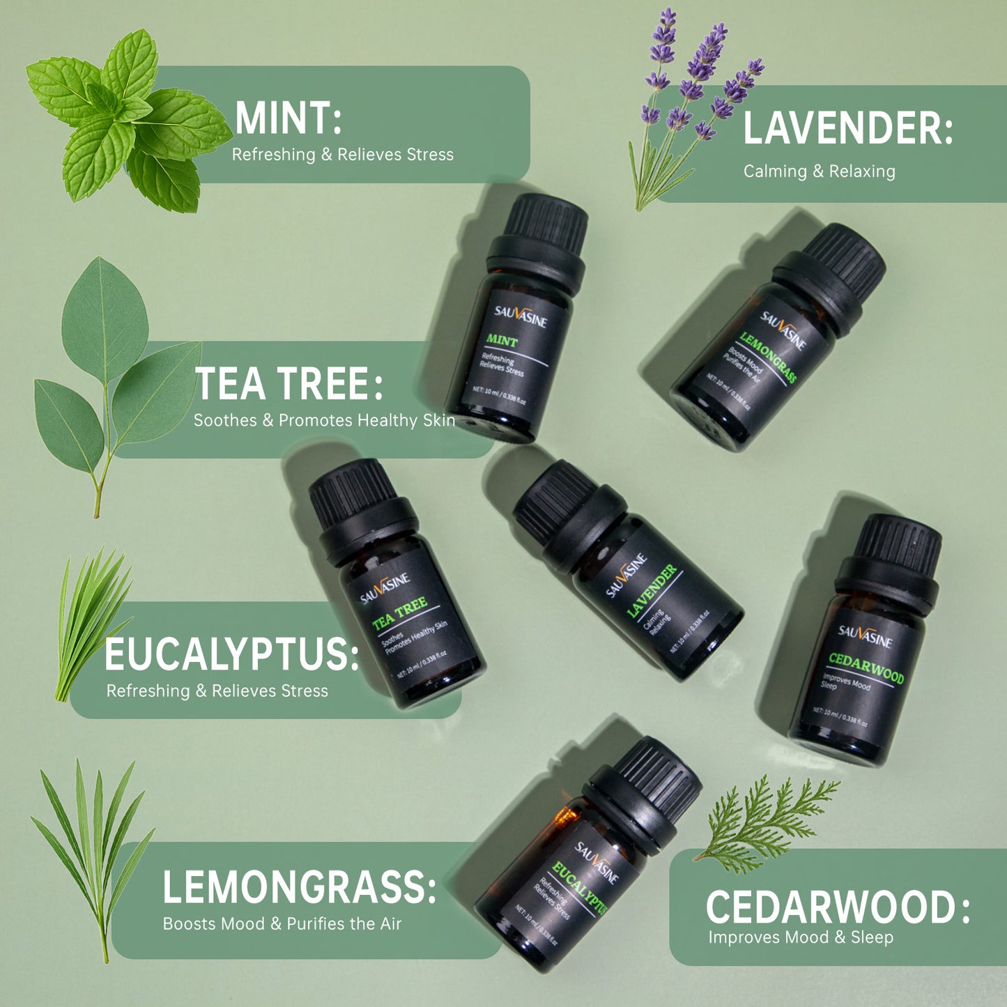 6*10ML Custom Logo Wholesales Relieve Stress Promote Relaxation Massage Diffusers Humidifiers Candle making Fragrance Oil Essential Oil Set