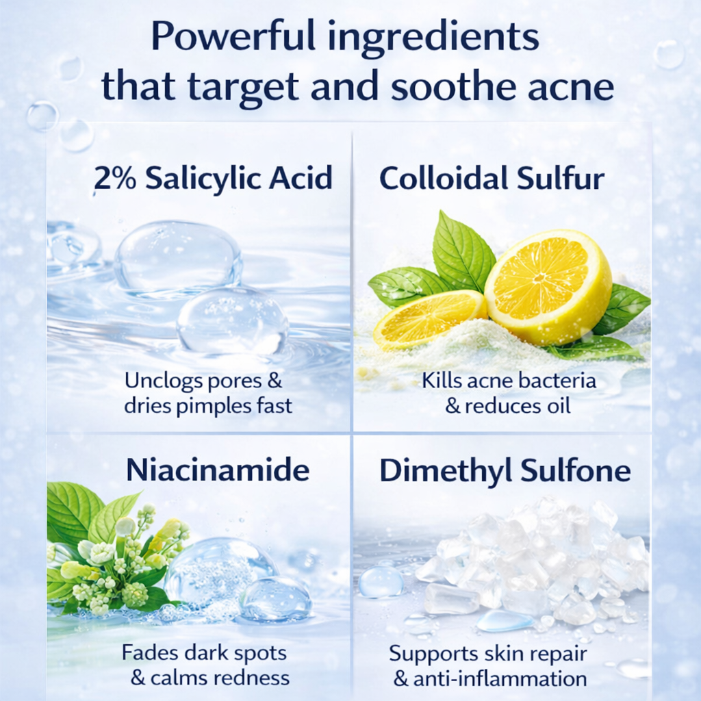 OEM 15ML Salicylic Acid Sulfur Niacinamide 24H Spot Rescue Acne Lotion